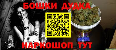 спиды Бийск