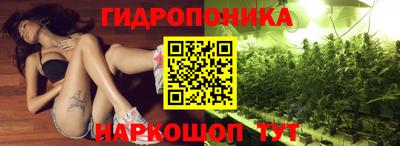 спиды Бийск