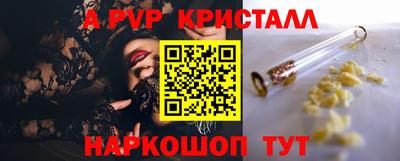 спиды Бийск