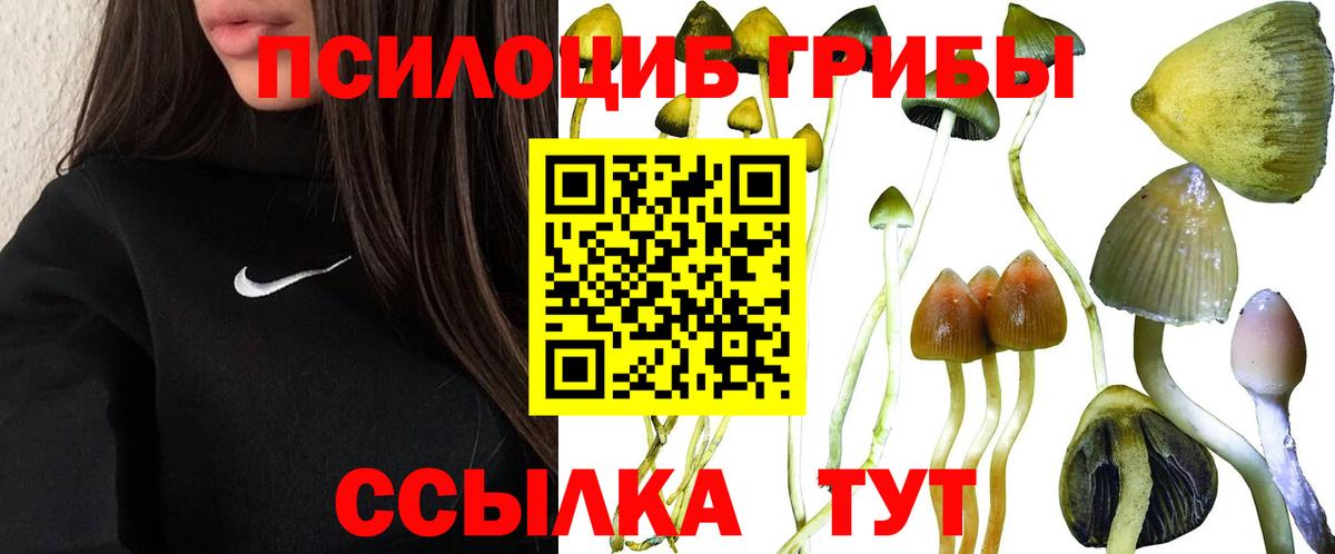Псилоцибиновые грибы мухоморы  Вход с VPN  Псилоцибиновые грибы Psilocybine cubensis  цена наркотик  Киселёвск 